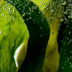 Refreshing Sea Kelp Real Deep Mask